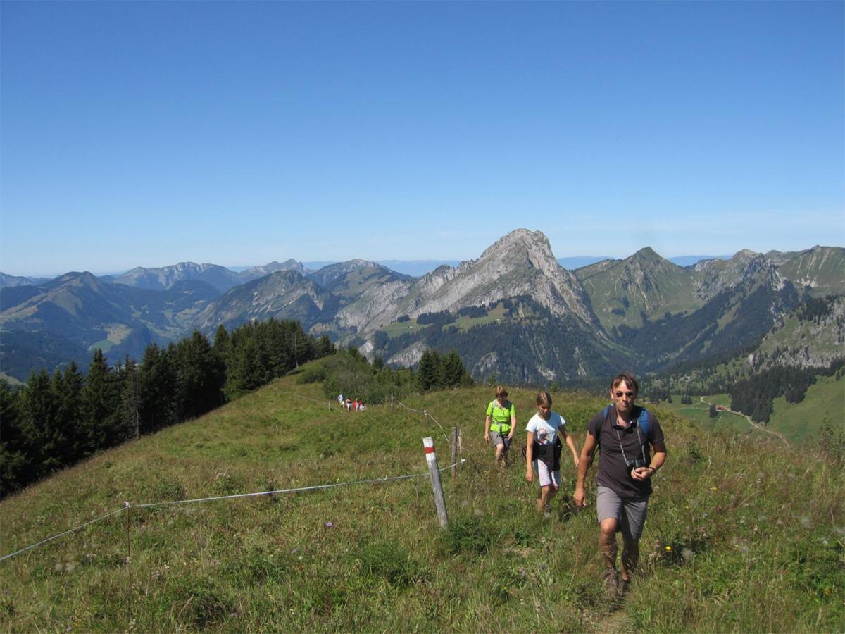 Esprit Montagne Hotel Abondance Buitenkant foto